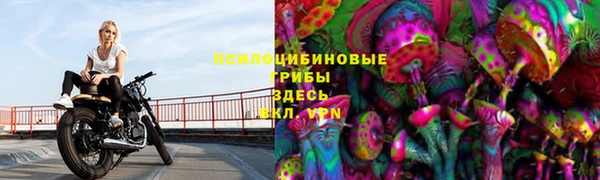 трава Алексин
