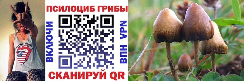 Галлюциногенные грибы прущие грибы  что такое   Каменск-Шахтинский 