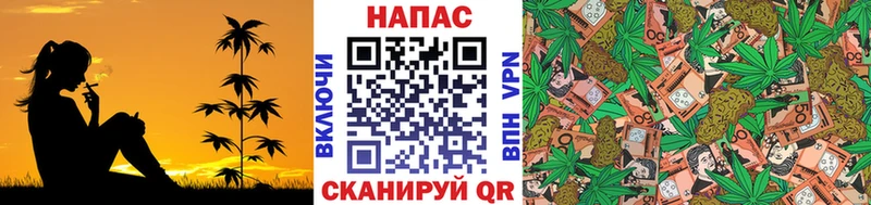 Бошки Шишки ГИДРОПОН  Каменск-Шахтинский 